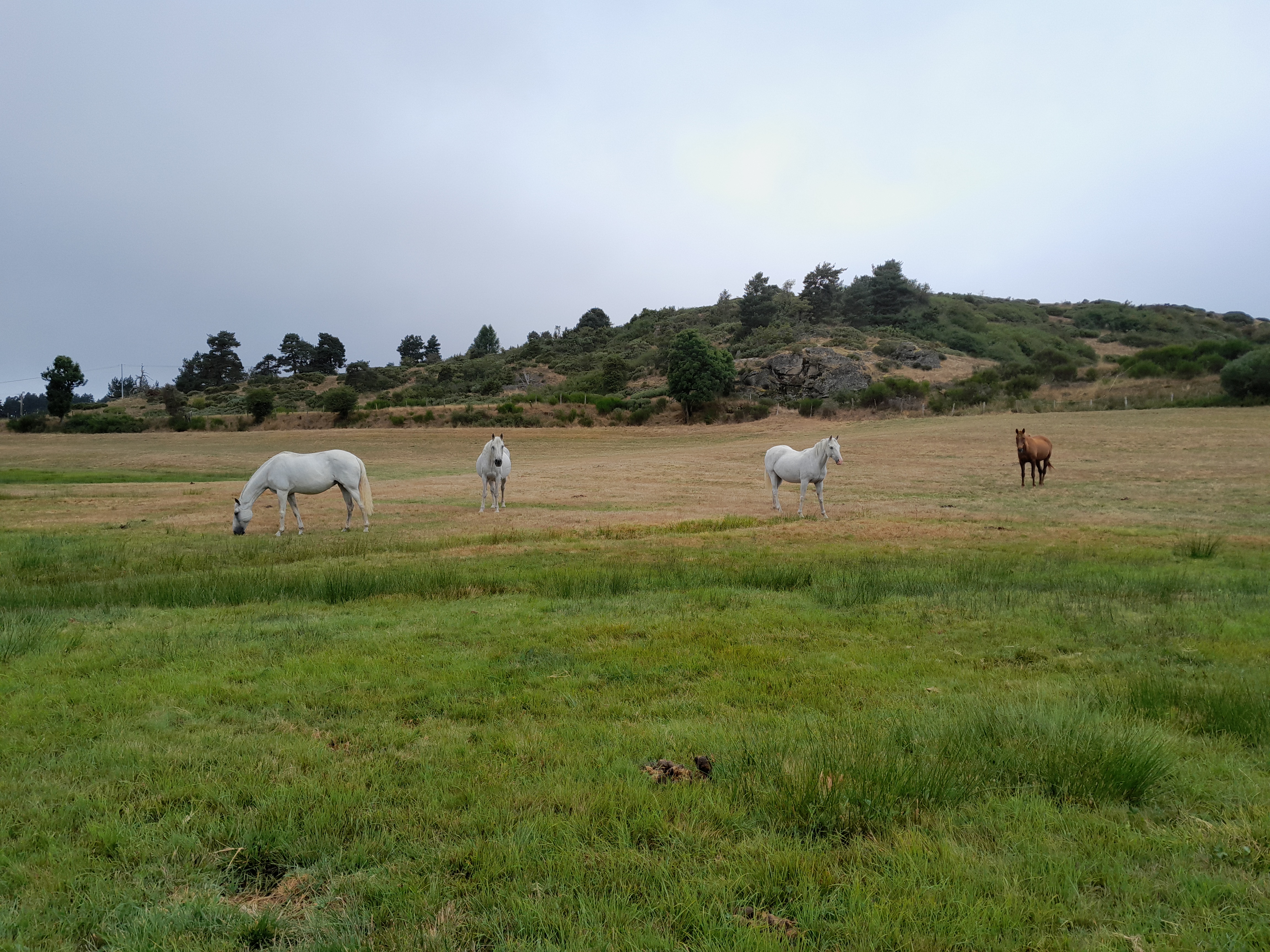 Une retraite en Lozère